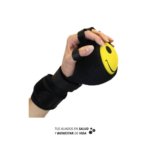 Ferula Antiespasticidad